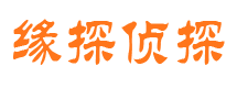 错那侦探